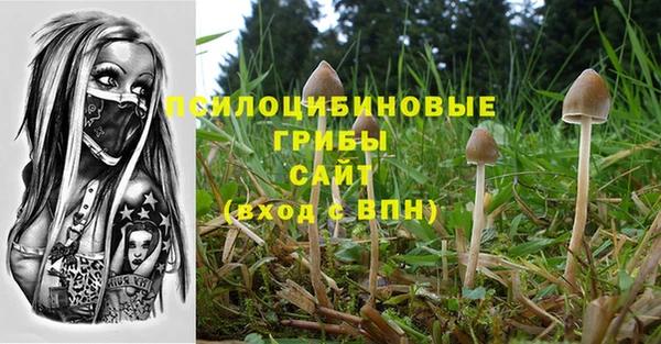 молекула духа Михайловка