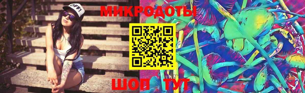 Сочи  Галлюциногенные грибы Psilocybe  Вход с VPN 