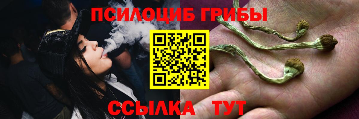 Псилоцибиновые грибы Magic Shrooms Сочи